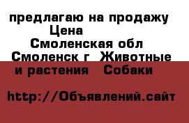 предлагаю на продажу › Цена ­ 25 000 - Смоленская обл., Смоленск г. Животные и растения » Собаки   